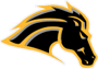 Metea Valley 1999 Football Schedule