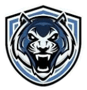 Lawrence Woodmere Academy Football Scores