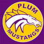 Plum Basketball Scores