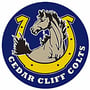 Cedar Cliff 2024 Football Schedule