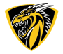 Wenonah Dragons Logo