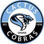 Cactus 2024 Boys Basketball Schedule