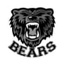 Houston County Bears Logo