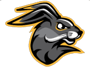 Dawson-Boyd Secondary Football Schedule