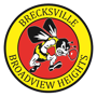 Brecksville-Broadview Heights 2010 Girls Basketball Schedule