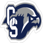 Cactus Shadows 2021 Boys Basketball Roster