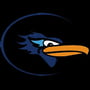 Nazareth Academy Roadrunners Logo