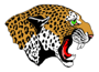 Dequeen Leopards Logo