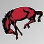 Barrington Broncos Logo