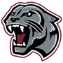 Benton Panthers Logo