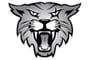 Sotomayor Girls Basketball Scores