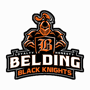 Belding 2015 Boys Basketball Roster