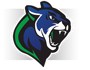 Somerset Canyons Cougars Logo