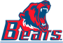 Buchanan Bears Logo