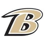 Boyle County Rebels Logo