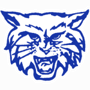 Dallastown Area Wildcats Logo