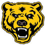 Upper Arlington Golden Bears Logo