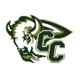 Central City Bison Logo