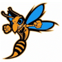 South Gibson Hornets Logo