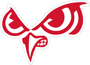 Slinger Owls Logo