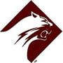 Altoona Mountain Lions Logo