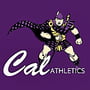 Caledonia 2010 Football Schedule