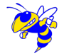 Mountain View Yellowjackets Logo