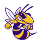 Iowa Yellow Jackets Logo