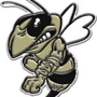 Oak Forest Academy Yellow Jackets Logo