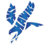 Deer Valley Skyhawks Logo