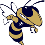 Thomas County Central Yellow Jackets Logo