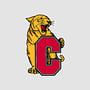 Campbell 2024 Football Schedule