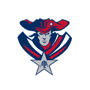 ALA Queen Creek Patriots Logo