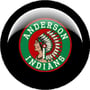 Anderson 2024 Boys Basketball Schedule