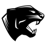 Potomac Falls Scores