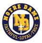 Notre Dame Top Football Alumni