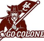 Henderson County Wildcat Logo