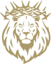 Link Academy Lions Logo