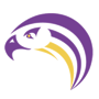 Aiken Falcons Logo