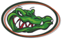 Lakeview Junior-senior Gators Logo