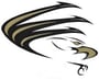 East Ridge Raptors Logo