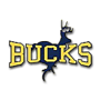 Buckhorn Bucks Logo