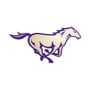 Central Arkansas Christian 2024 Boys Basketball Roster