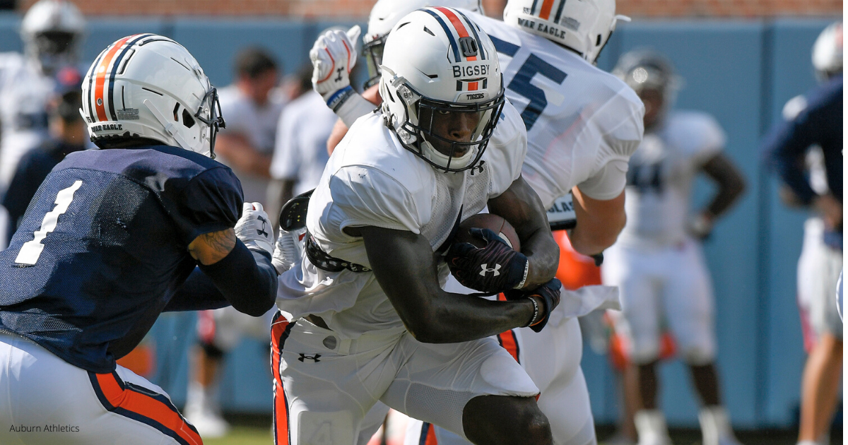 Former Auburn safety Smoke Monday makes undrafted free agency decision - On3