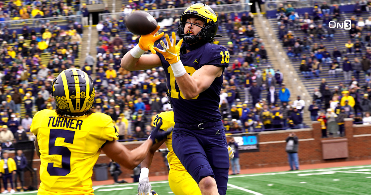 Michigan tight end Colston Loveland 