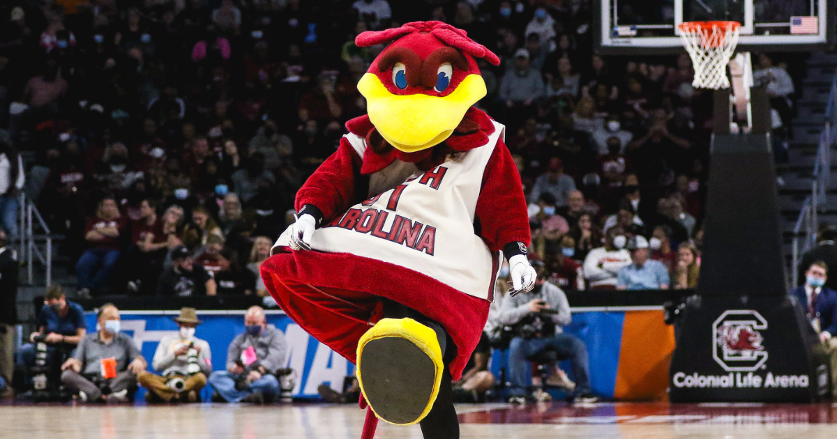 South Carolina mascot Cocky during a basketball game