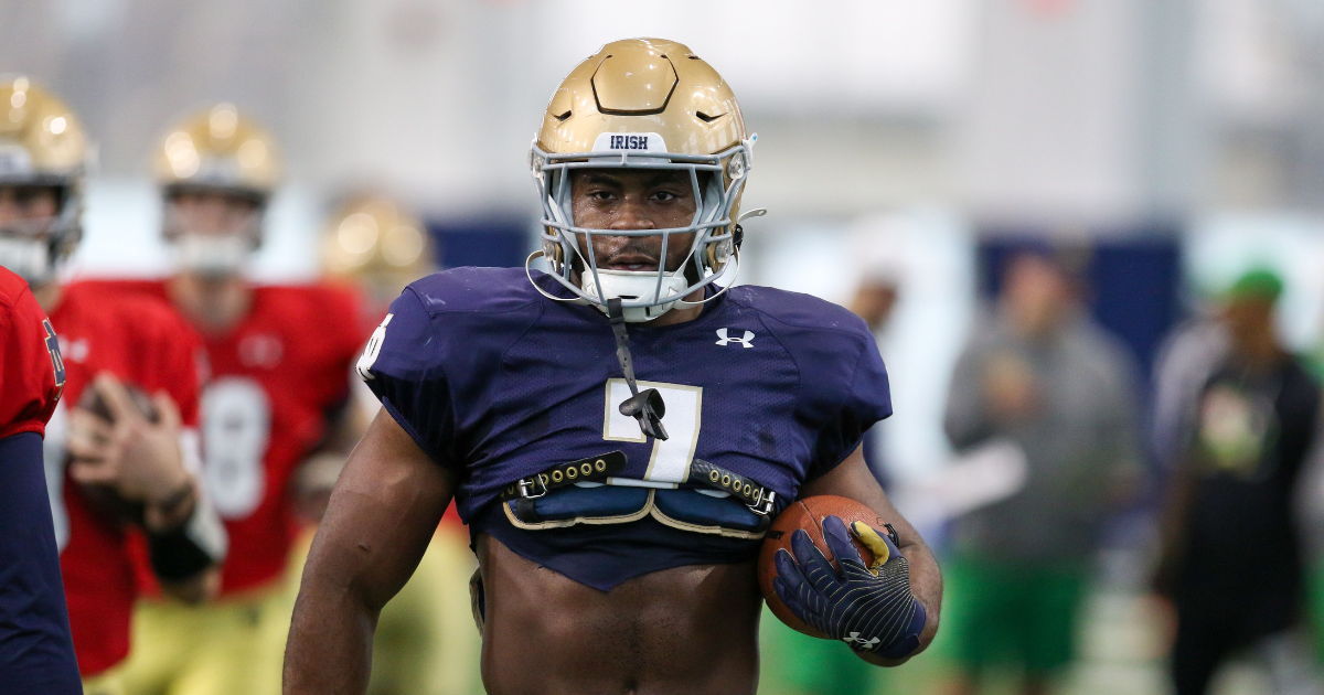audric estime notre dame