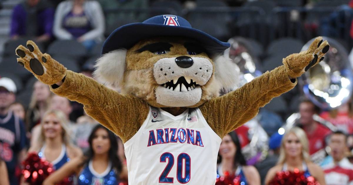 arizona-wildcats-nil-open-house-collectives-arizona-assist-club-friends-of-wilbur-and-wilma
