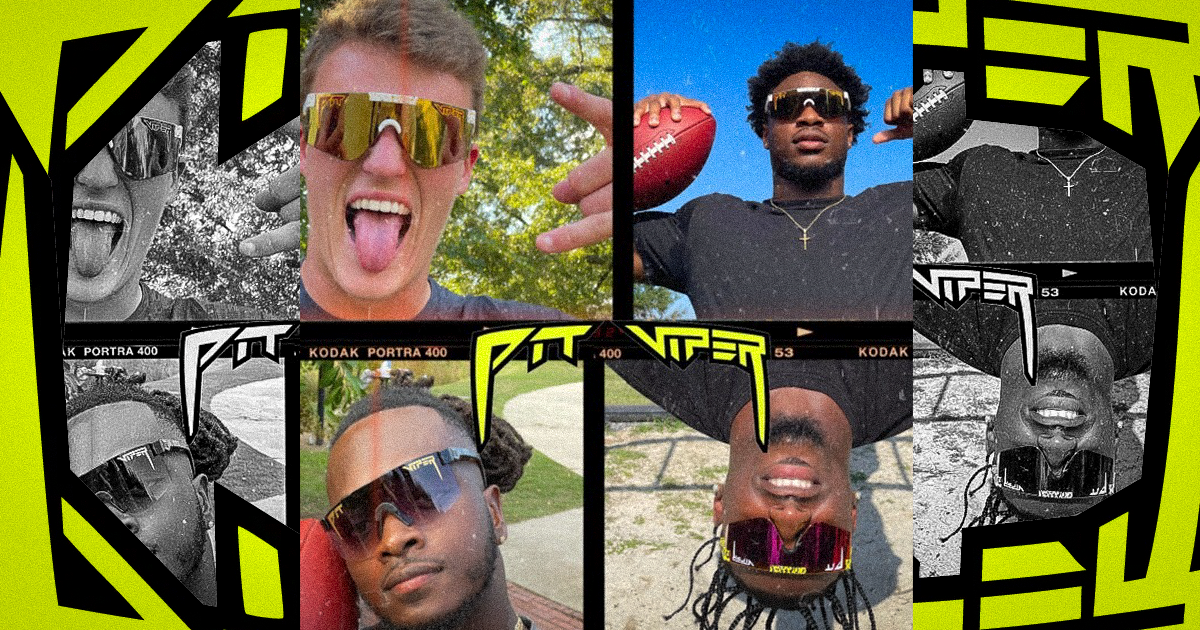 Viper Sunglasses