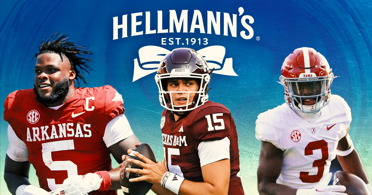 hellmanns-